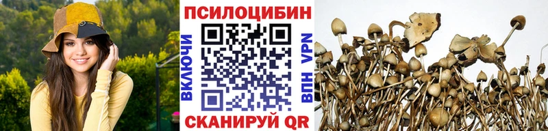 дарнет шоп  Волгодонск  Галлюциногенные грибы Psilocybe 