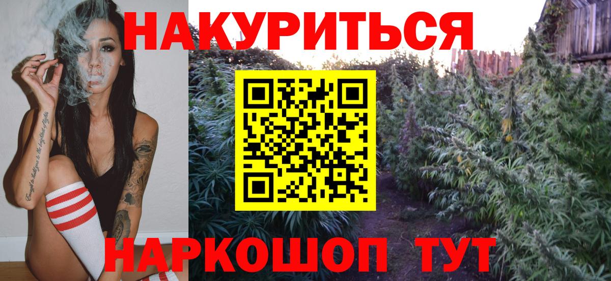 Каннабис план  Вход с VPN  Волгодонск  Марихуана ГИДРОПОН  Канабис White Widow 